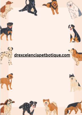 small dog essentials