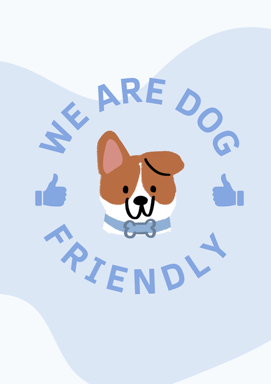 inexpensive dog accessories USA