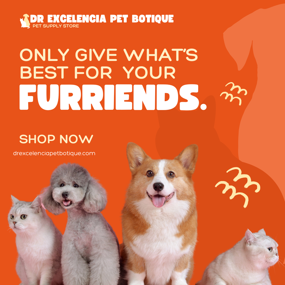 Small Dog Supplies USA