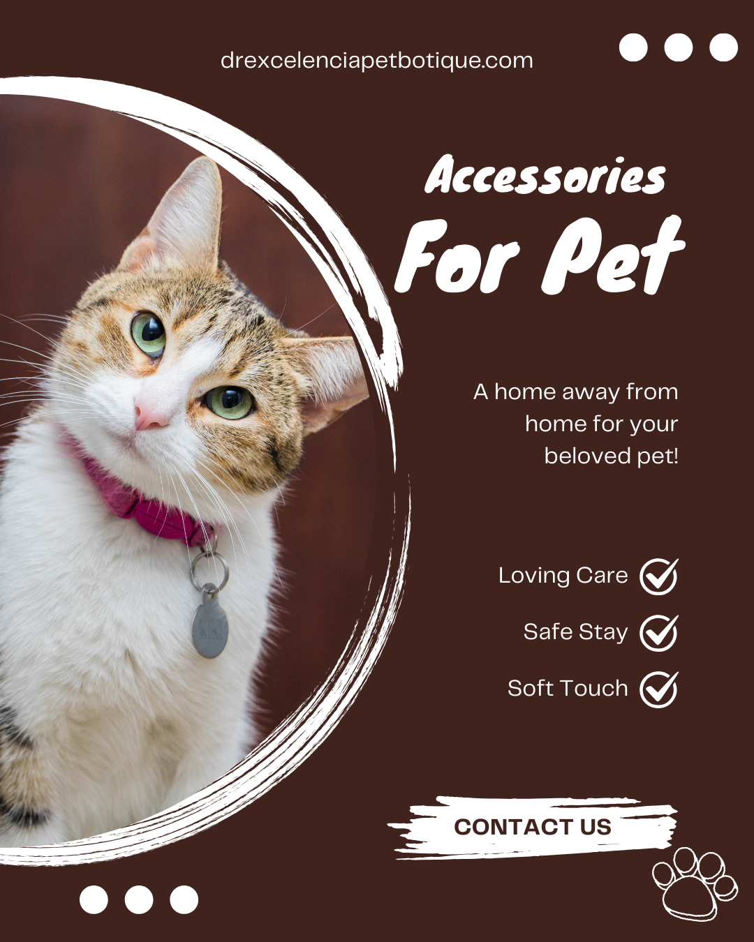 The 5 Best Dog Products for Small Breeds