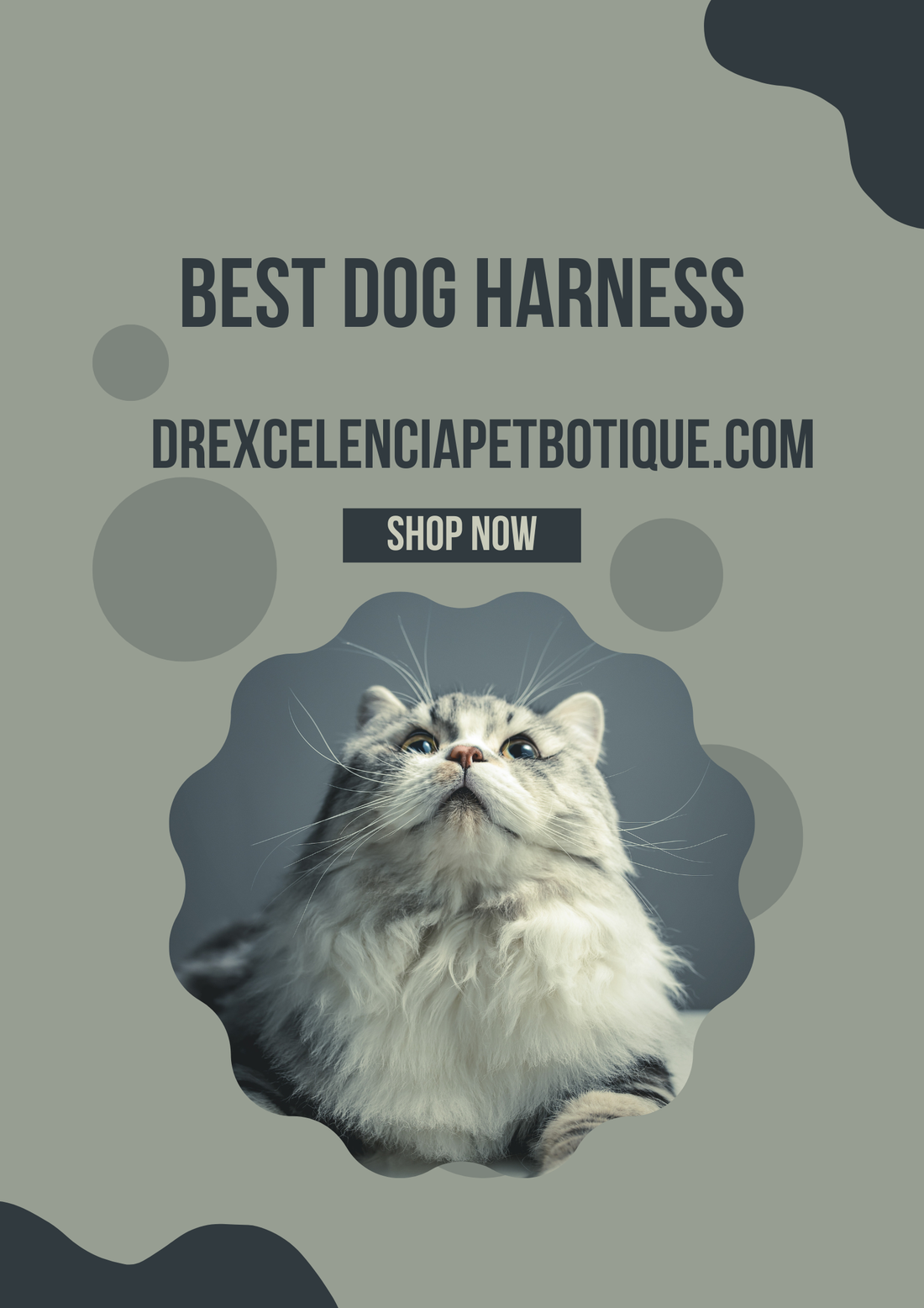 best dog harness in USA