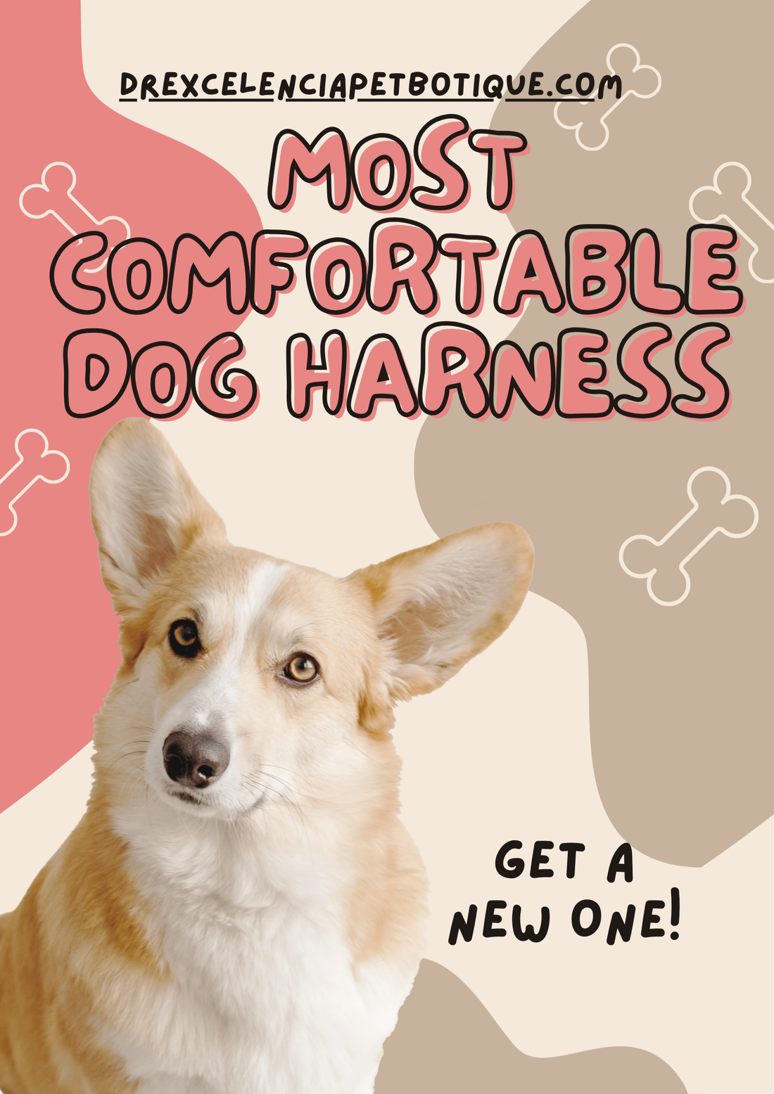 How to Choose the Most Comfortable Harness