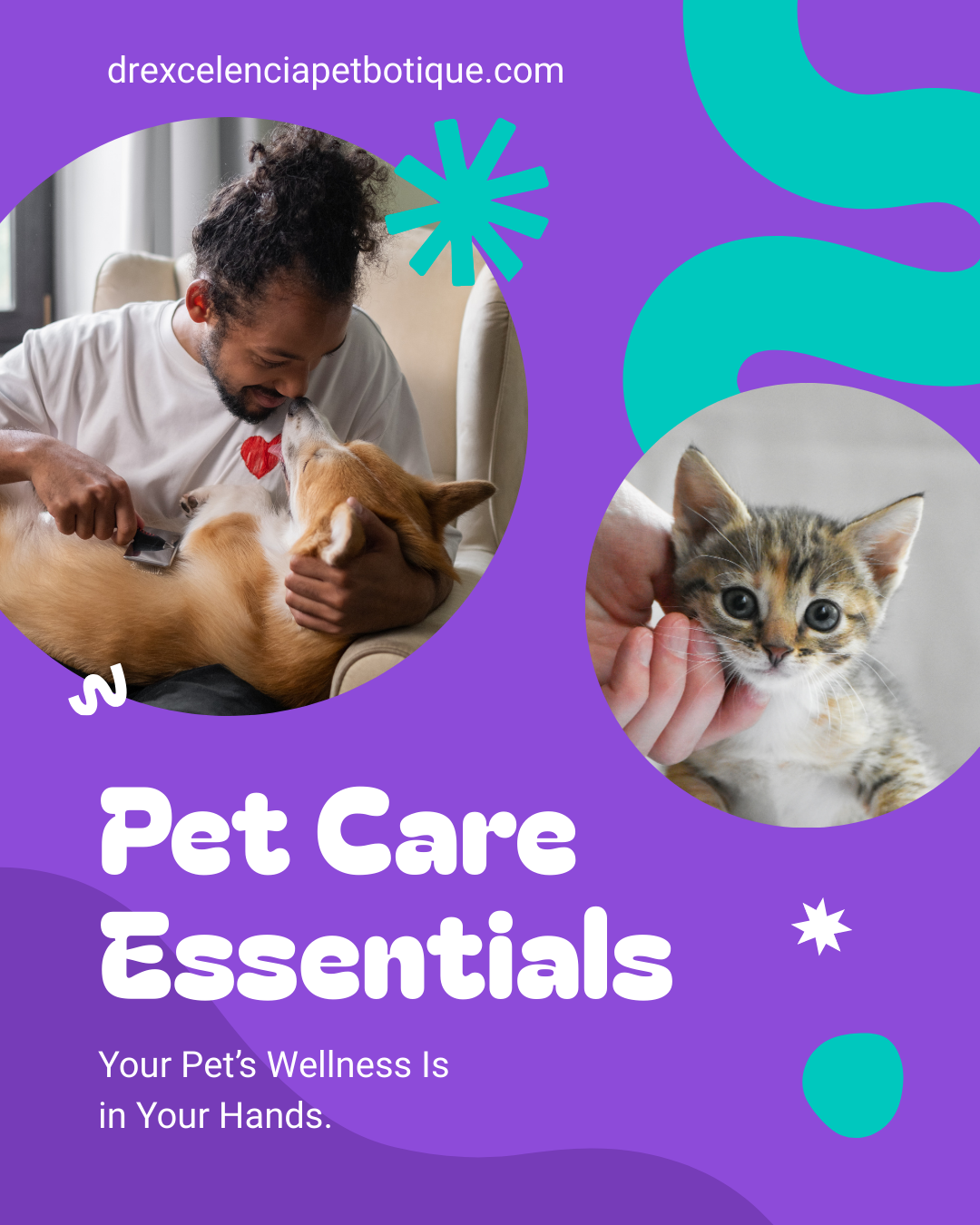 The Ultimate Small Dog Essentials Checklist