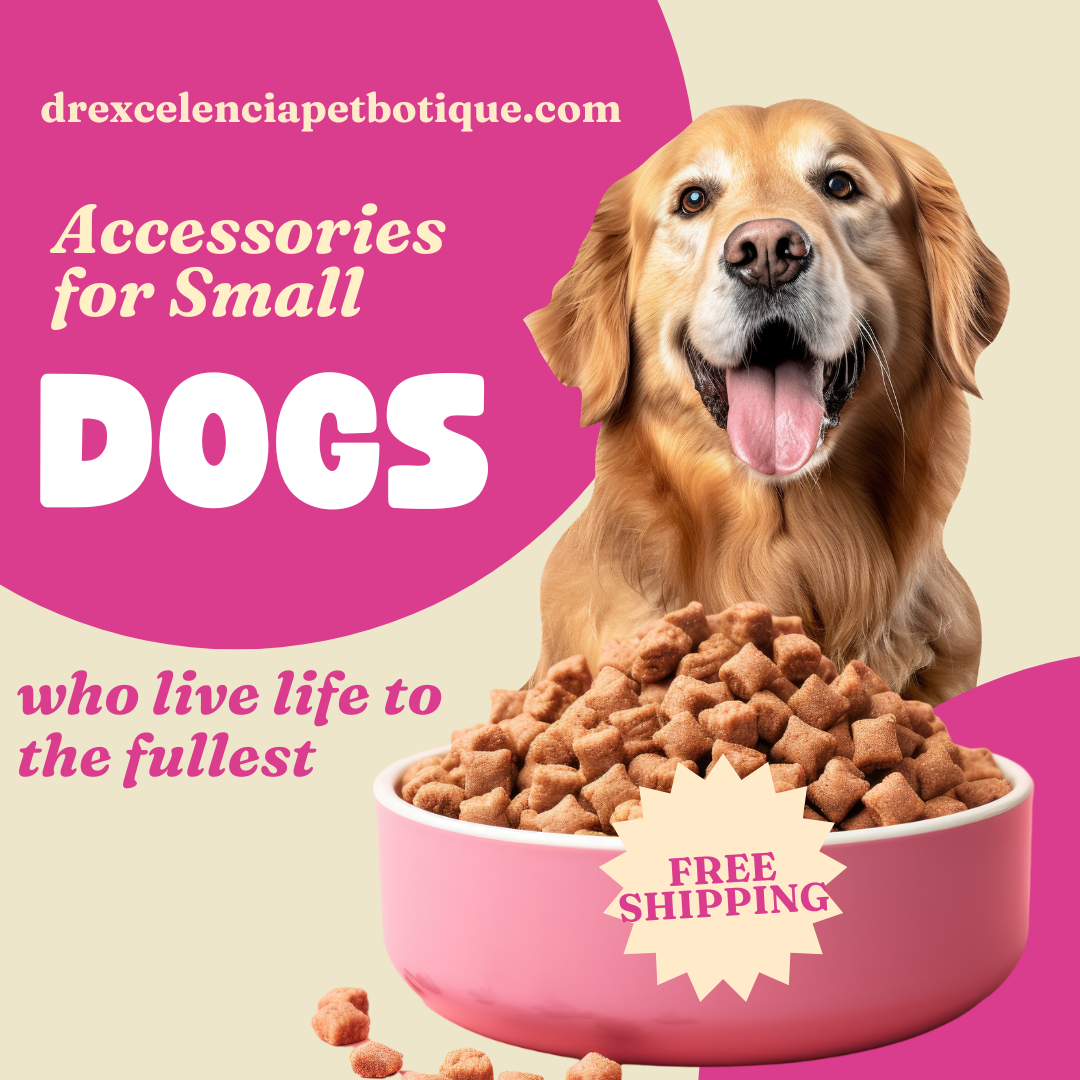 Big Style, Tiny Size: Must-Have Accessories for Small Dogs