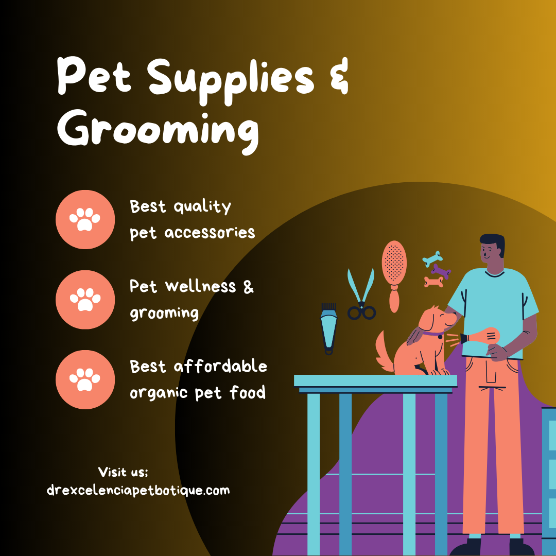 Tiny Paws, Big Personality: The Ultimate Guide to Small Dog Supplies