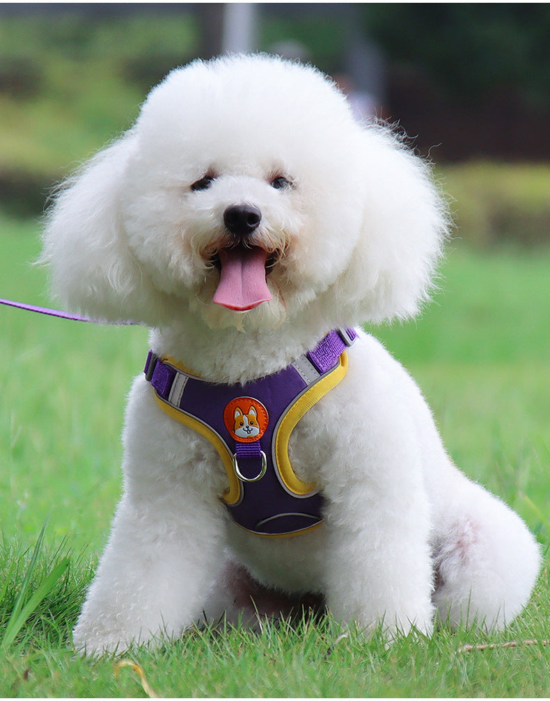 Dog Harness Cat Harness Reflective Dogs Leashs Soft Mesh Chest Strap - Dr Excelencia Pet Botique
