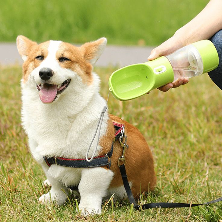 Portable Dog Water Bottle with Bowl - Dr Excelencia Pet Botique