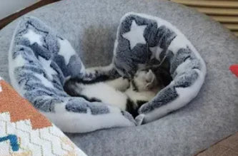 The perfect experience